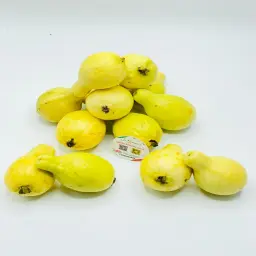 Egyptian Guava